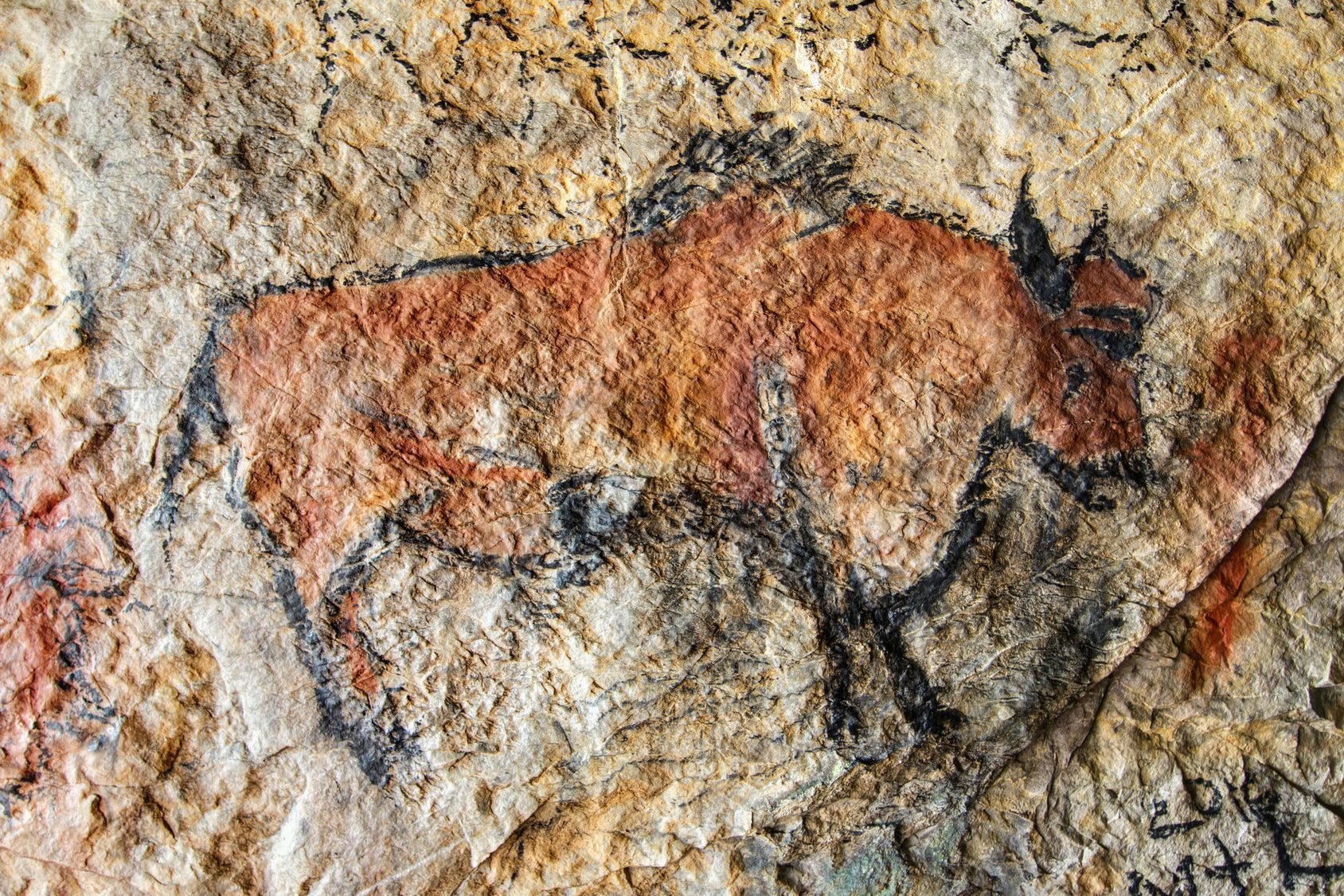 PALÉONTOLOGIE Accord historique avec les découvreurs de la grotte Chauvet btlv.fr