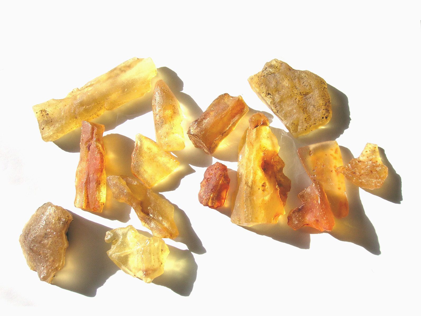 chasseurs dambre btlv.fr