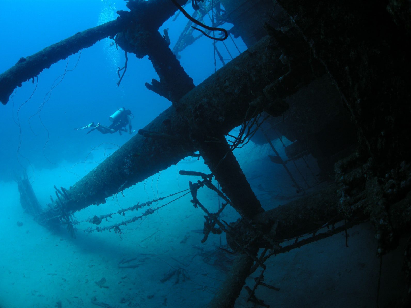 les recherches dépaves à Brest btlv.fr