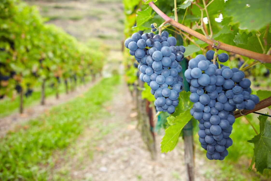 AdobeStock 48751537 e1553506027244