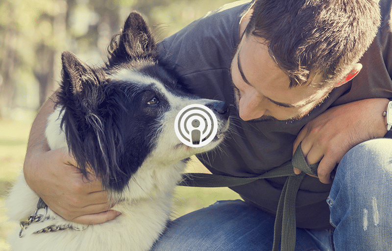 télépathie animale p