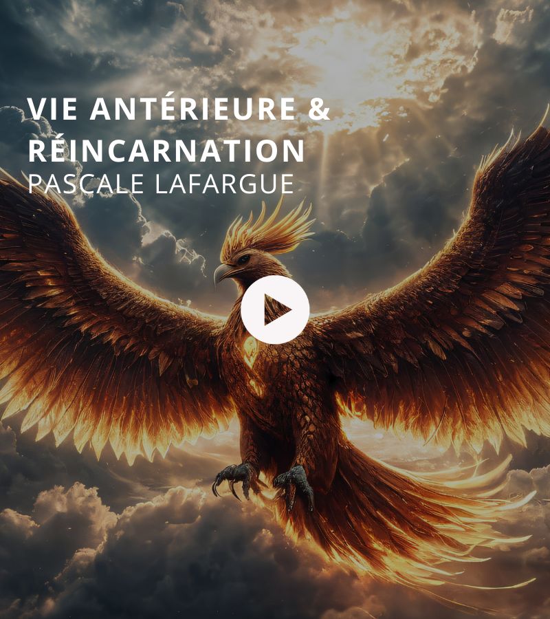 VIGNETTE ÉMISSION BTLV (55)