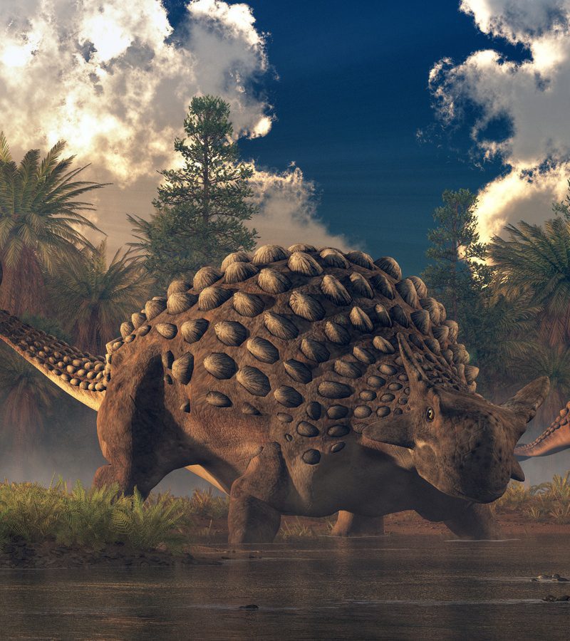 (ARCHÉOLOGIE) Le plus vieux fossile d’ankylosaure découvert au Maroc