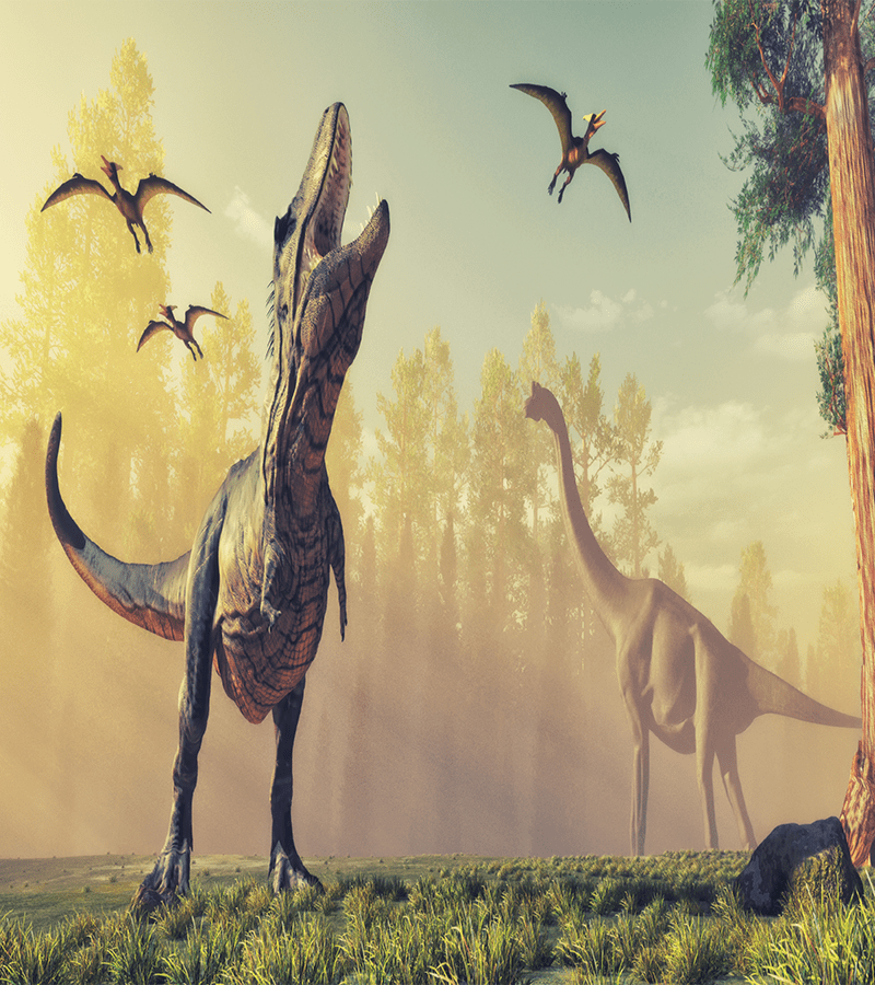 (GÉNÉTIQUE) Peut-on ressusciter les dinosaures comme dans Jurassic Park ?