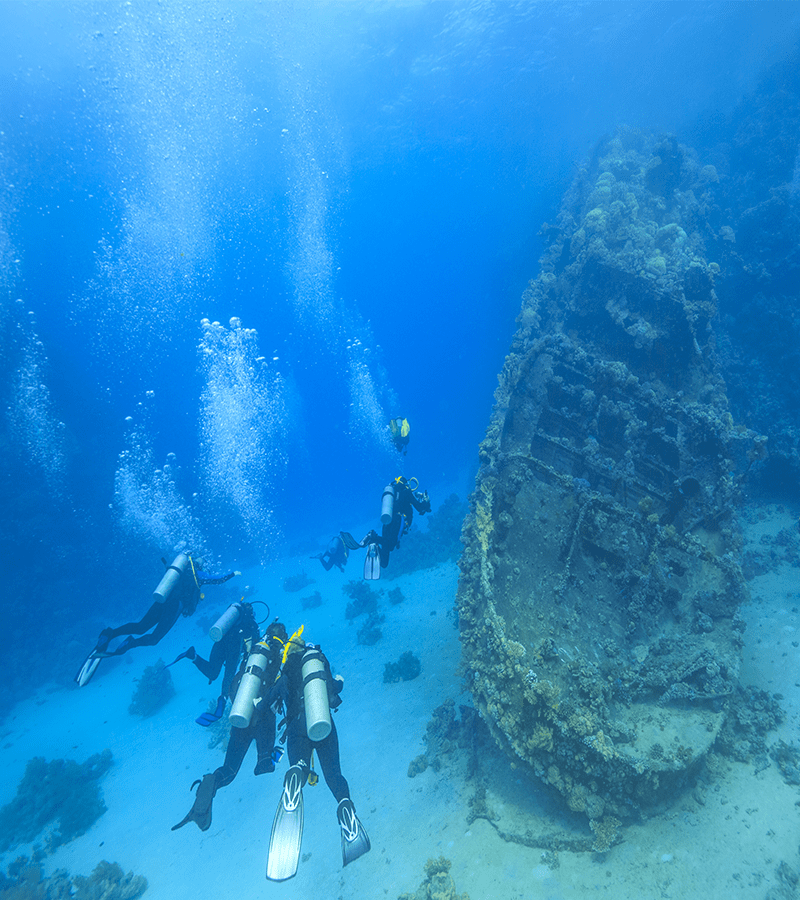 (ARCHÉOLOGIE) La mystérieuse épave “sanguinaire” commence à livrer ses secrets