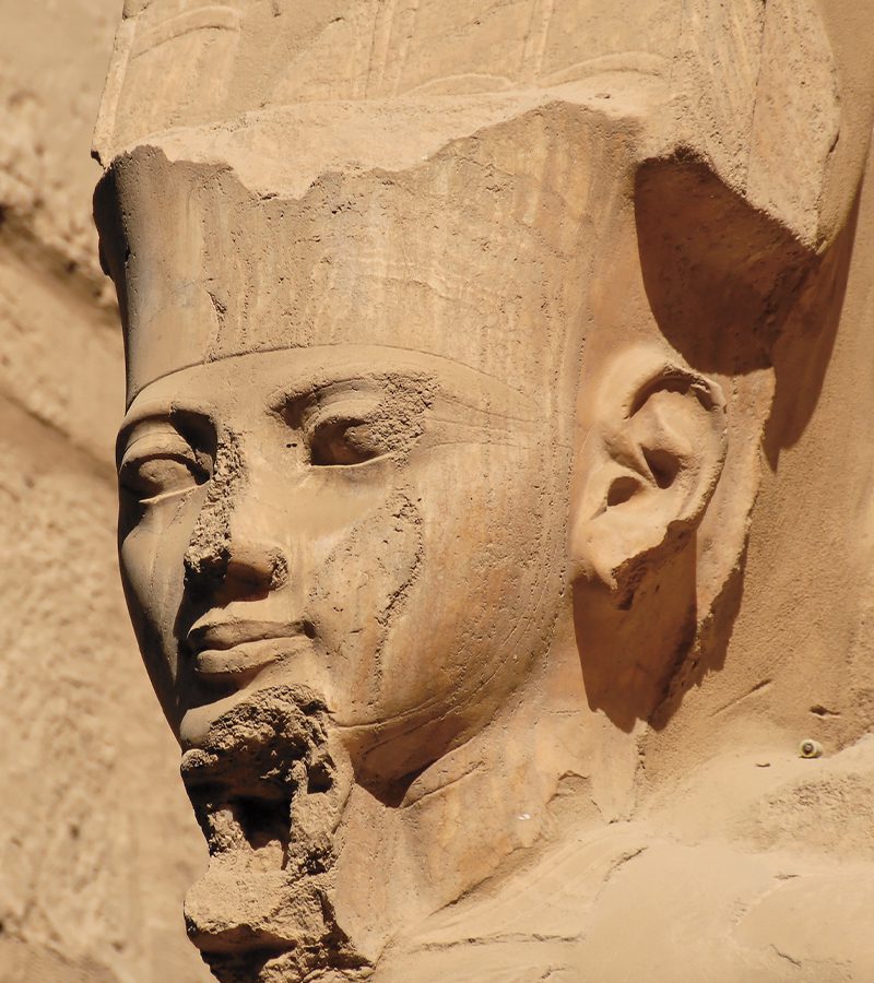 toutankhamon malediction