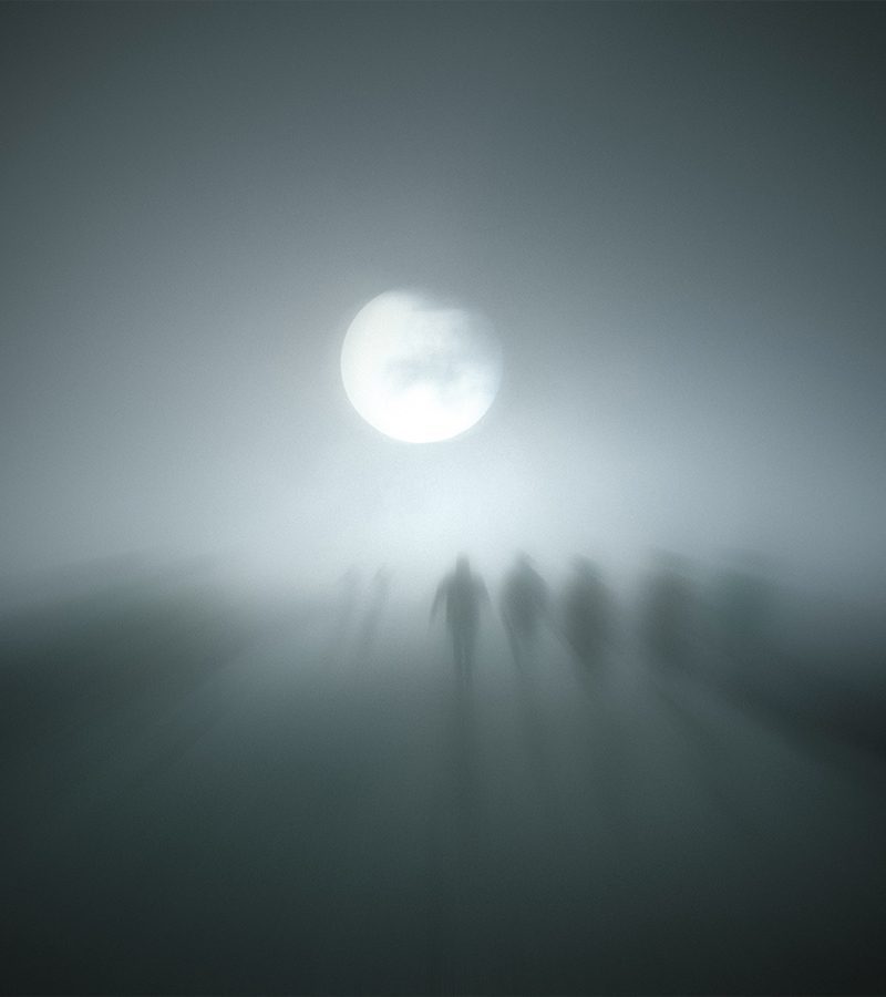 Des grognements terrifient un groupe de chasseurs de fantômes