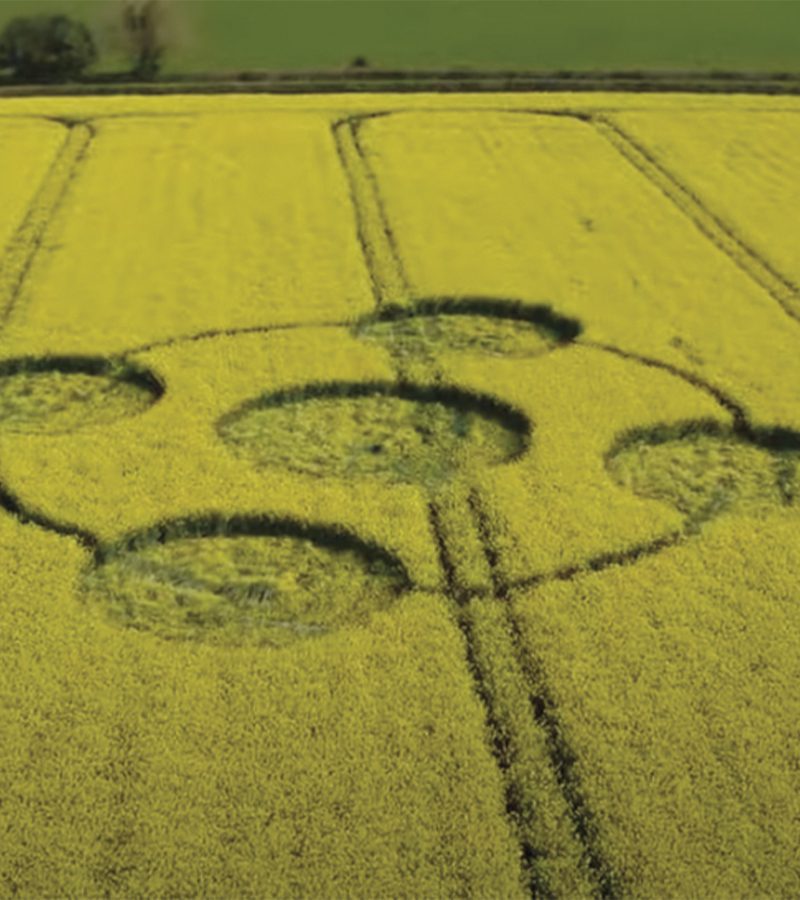 Découverte du premier Crop-circle britannique de 2022