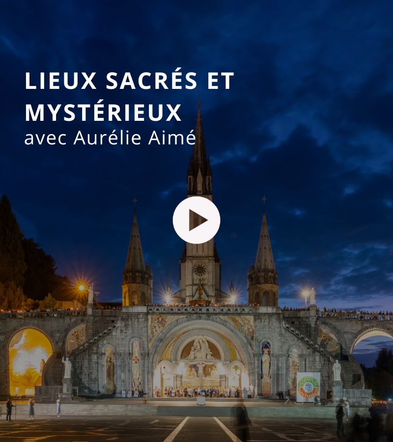 template vignette aurelie aime