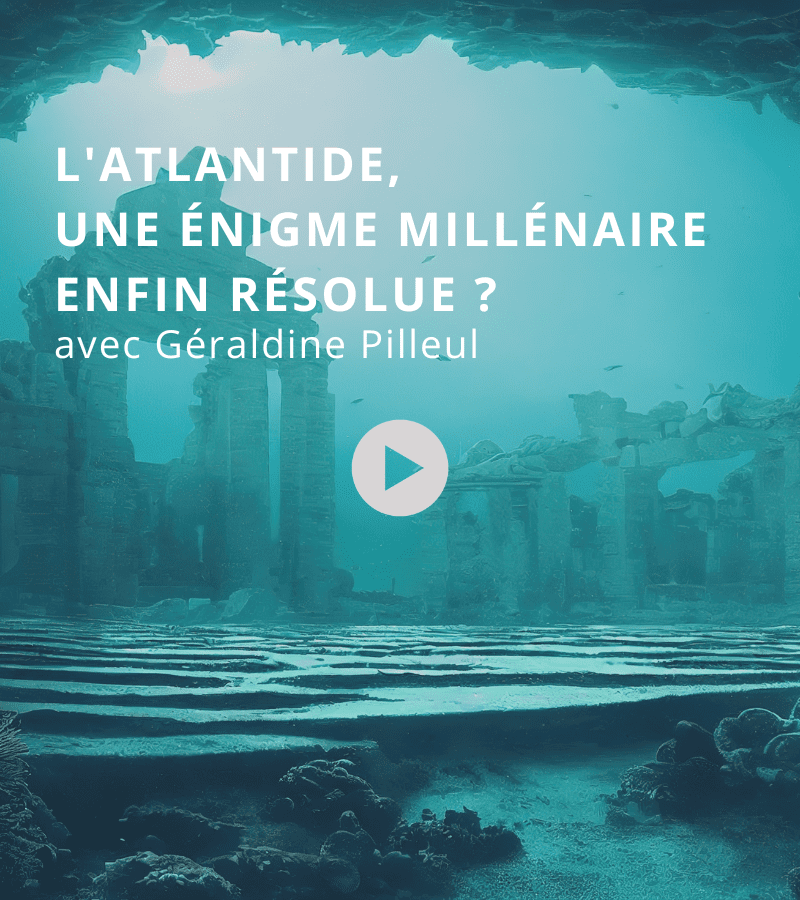 template vignette Geraldine Pilleul