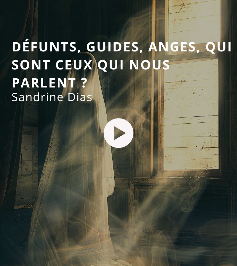 VIGNETTE ÉMISSION BTLV (11)