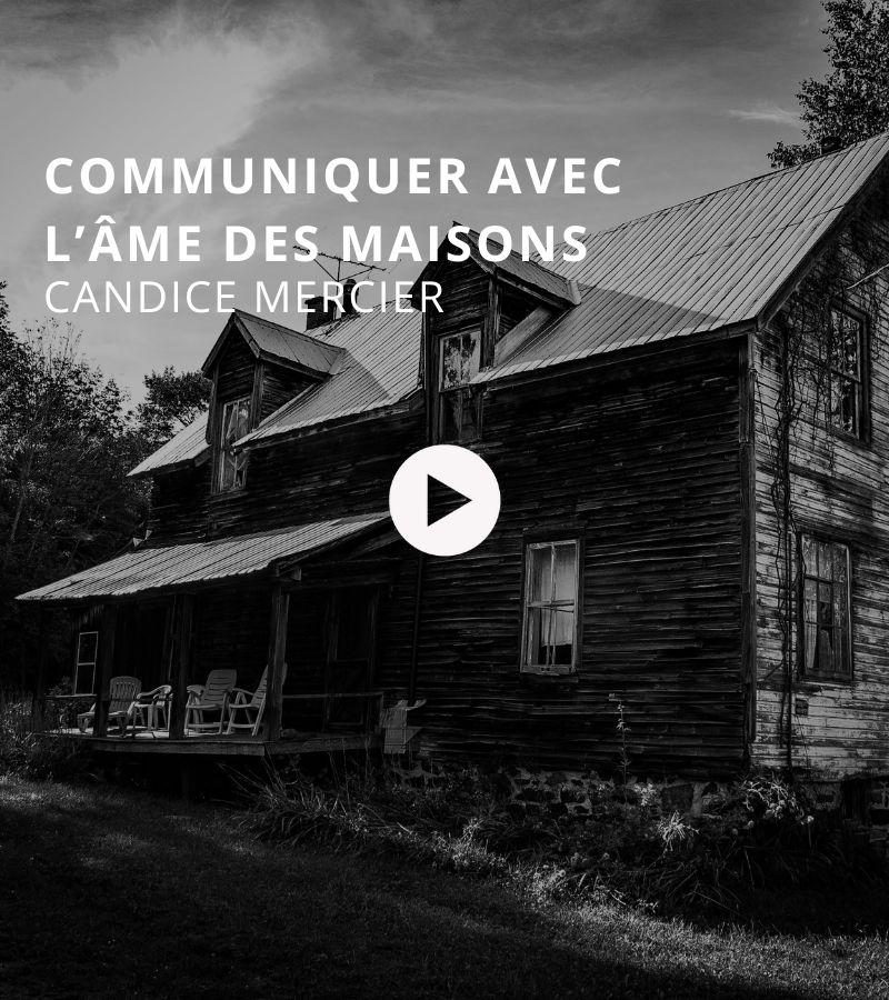 VIGNETTE ÉMISSION BTLV (3)