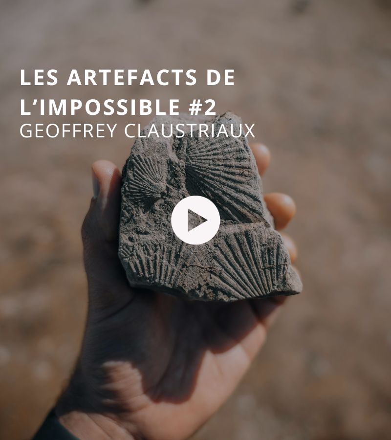 VIGNETTE ÉMISSION BTLV (24)