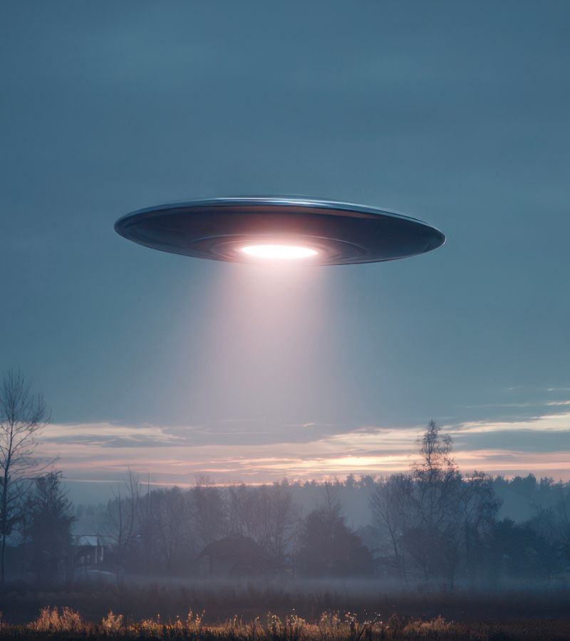 PE T ECHEC HOME PAGE (1)