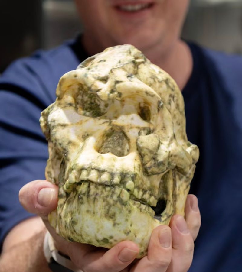 PE T ECHEC HOME PAGE (2)