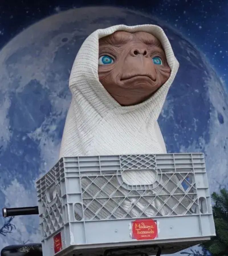 PE T ECHEC HOME PAGE