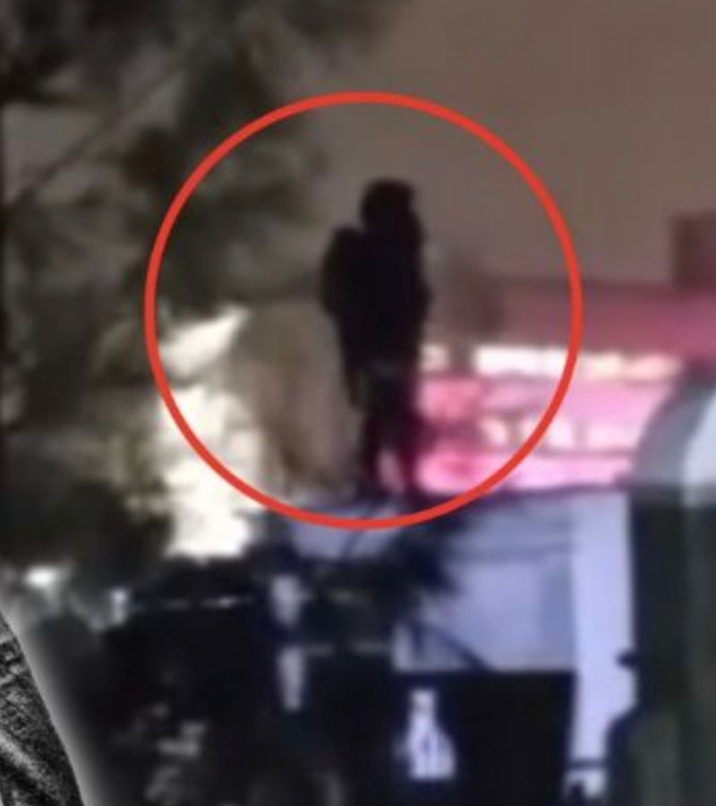 PE T ECHEC HOME PAGE (15)