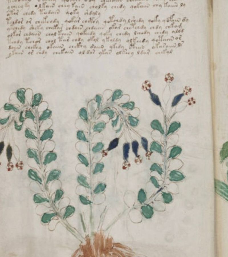 PE T ECHEC HOME PAGE (2)