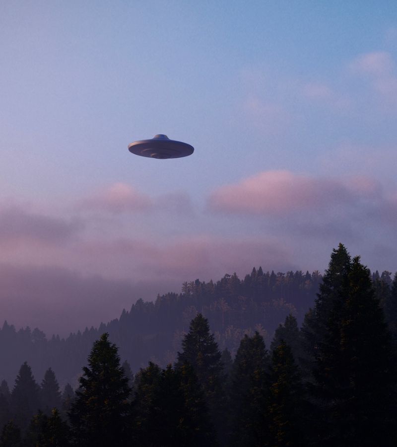 PE T ECHEC HOME PAGE (29)