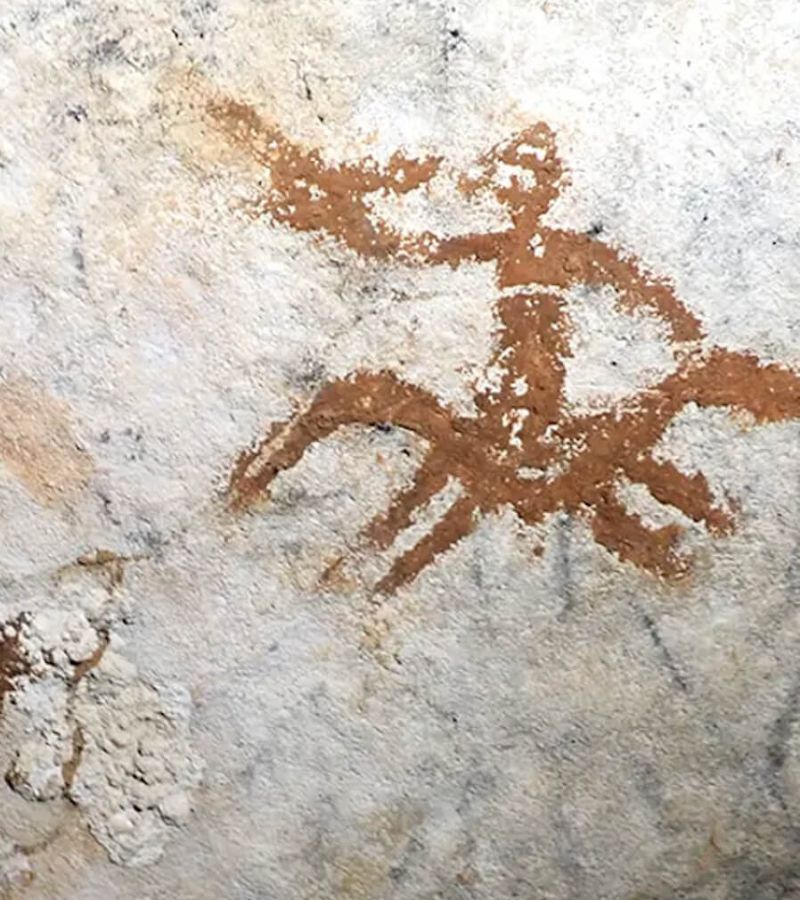 PE T ECHEC HOME PAGE (36)