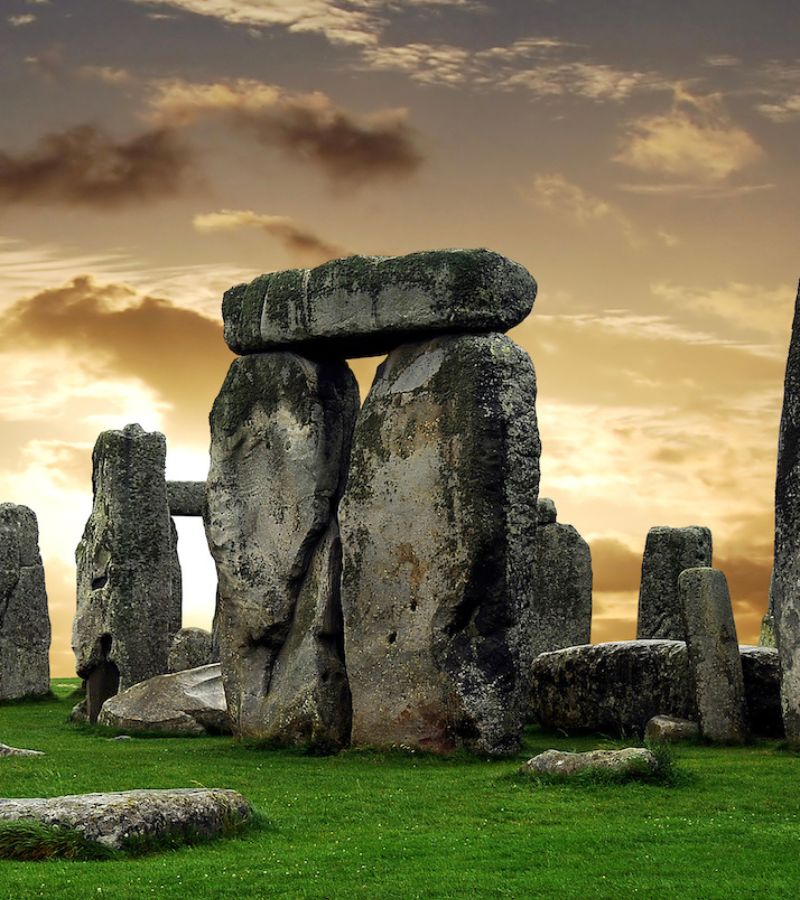 PE T ECHEC HOME PAGE (38)