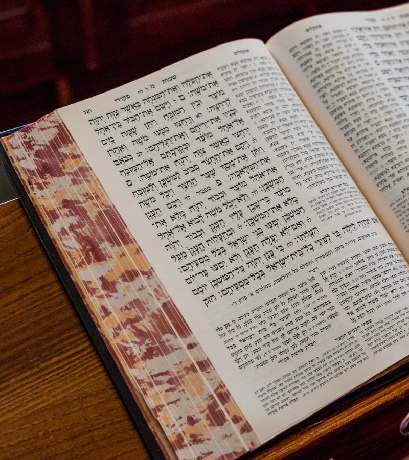 PE T ECHEC HOME PAGE (4)