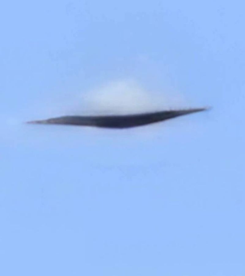 PE T ECHEC HOME PAGE (40)