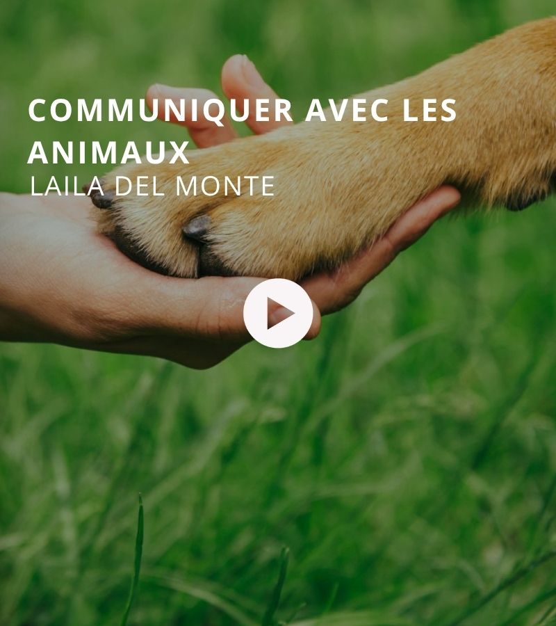 VIGNETTE ÉMISSION BTLV (1)