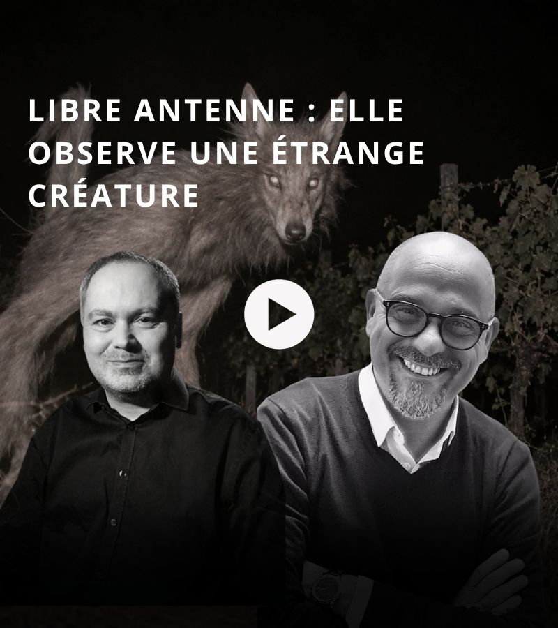 SITE LIBRE ANTENNE (1)